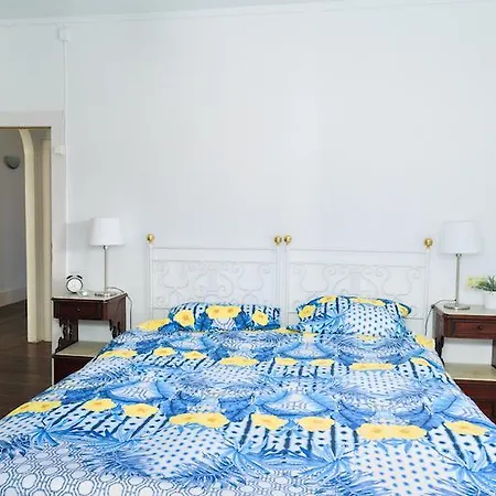 Wonder House *